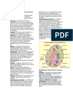 The Following Is A Glossary of Animal Cell Terms