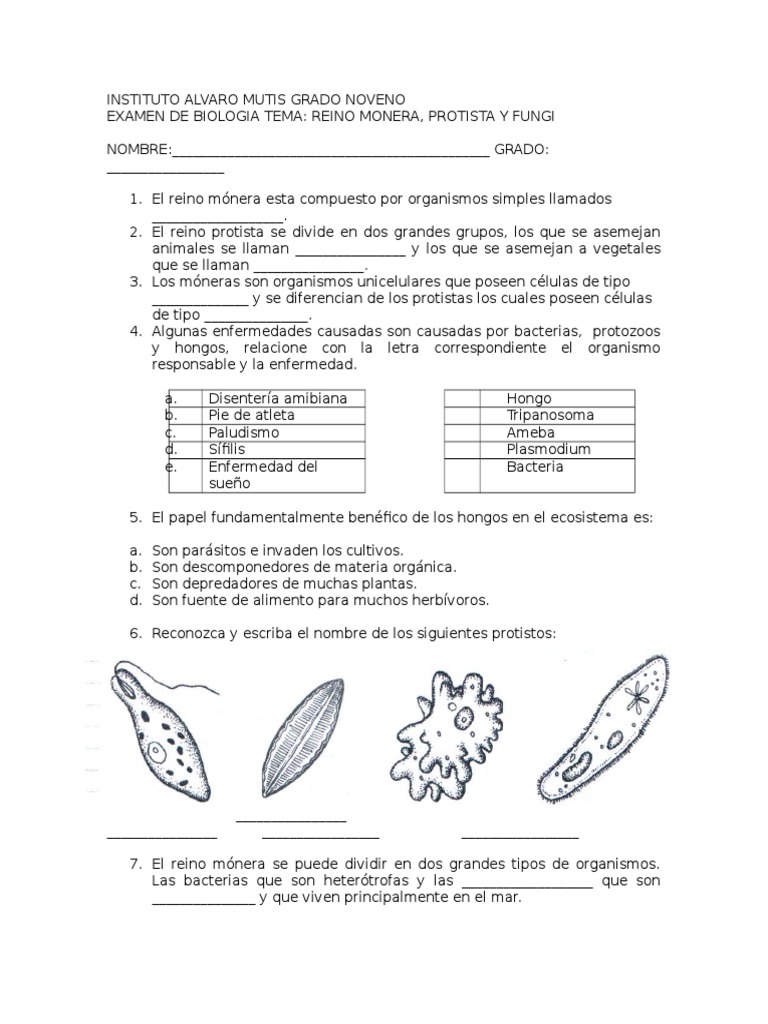 Examen Protistos Moneras y Hongos Grado Noveno | PDF | Hongo | Gases