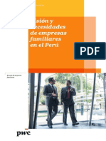 Vision y Necesidades de Empresas Familiares