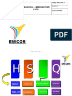 Hseq-Doc-03 Induccion Hseq v2-26022015