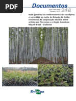 Embrapa - Eucalipto - Goiás