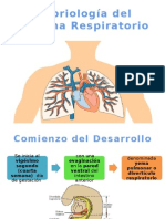 Embriología Del Aparato Respiratorio