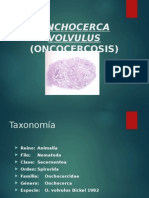 Oncocherca Volvulus