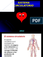 Sistema Circulatorio 5 Basico