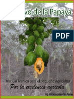Instructivotecnicoparaelagricultordelapapaya 120912122219 Phpapp02