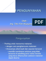 Sistem Pengunyahan