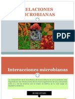 MICROBIOLOGIA AMBIENTAL. Relaciones Microbianas