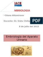Embriologia Aparato Urinario Diana