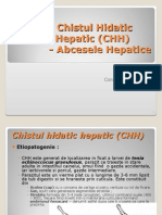 Curs _ ___Chistul Hidatic Hepatic+Abcesul Hepatic