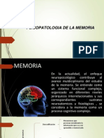 Introducción a la psicopatologia de la memoria