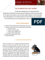 El Proceso Alimenticio Del Perro