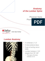 Lumbar Anatomy