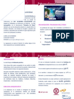 Díptico LLONGUERAS INNOVA PDF