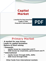 Chapter 3 Capital Market