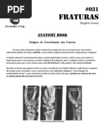 031-Anatomy Book - Estágios de Consolidação Das Fraturas