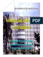 Anatomia Das Vias Biliares