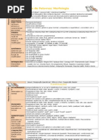 Classes de Palavras (Quadro-síntese)