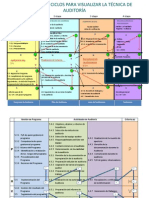 Ciclos para Visualizar Tecnica de Auditoria PDF