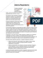 Sistema Respiratorio