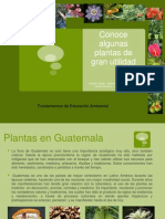 Plantas Medicinales y Otros