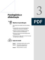  Concepções da Criança Sobre Escrita 