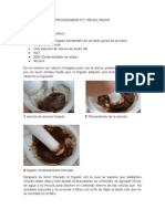 Bioquimica ADN