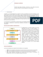 sistema_neuroendocrino_hipotalamo_e_hipofisis.pdf