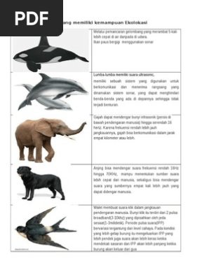 Ekolakasi Hewan Pdf