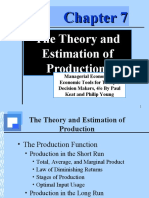 The Theory and Estimation of Production