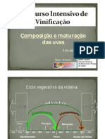 Composicao Maturacao Uvas 107