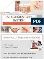  Integumentary System