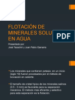 Flotación de Minerales Solubles en Agua