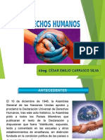 Derechos Humanos 2015 i