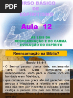 ( Espiritismo) - C B - Aula 12 – As Leis Da Reencarnacao E Do Carma # 04.pptx