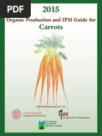 Download Carrot by mealysr SN282826474 doc pdf