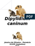 Dipylidium canis