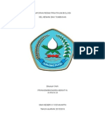 Laporan Resmi Praktikum Biologi