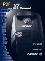 Honda Service Manual b75-b100-bf100-bf8 | PDF