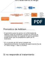 Enfoque Para Tratamiento a Largo Plazo