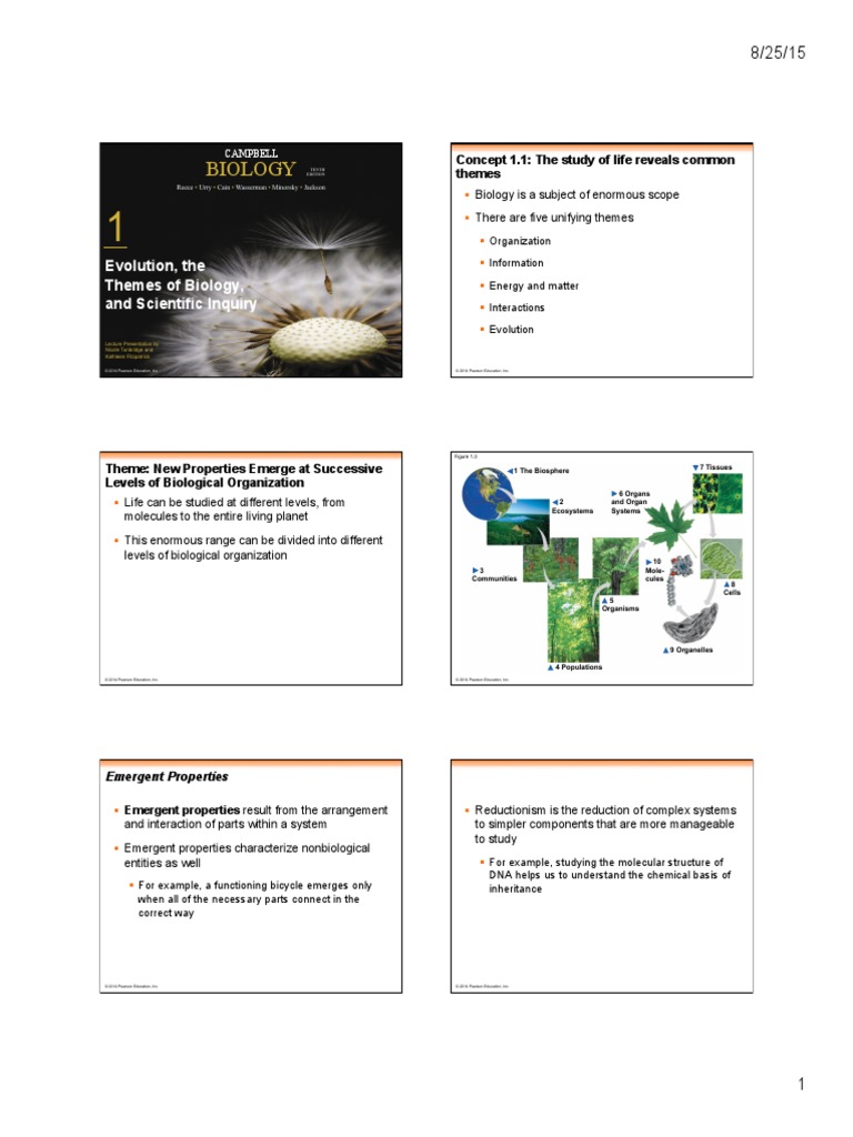 Free human biology powerpoint templates image