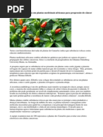 Substância Encontrada Em Plantas Medicinais Africanas Para Progressão Do Câncer