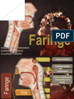 anatomiafaringe-120907115648-phpapp01