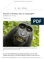 Should A Monkey Own A Copyright - 13