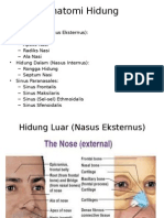 Revisi Anatomi, Histo, Fisio, Hidung