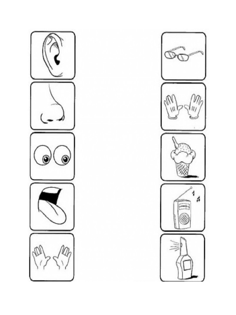 Five Senses Worksheet | Pdf