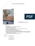 BID PRICE Rp.170.000,-: How To Make A Decorative Apple Tree