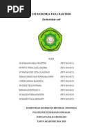 Download Uji Biokimia Pada Bakteri Ecoli by Diian Purnama Dhewii SN282886340 doc pdf