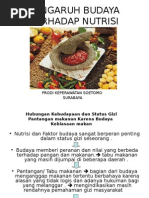 Download Pengaruh Budaya Terhadap Nutrisi by jatmiko andi rama SN282889038 doc pdf