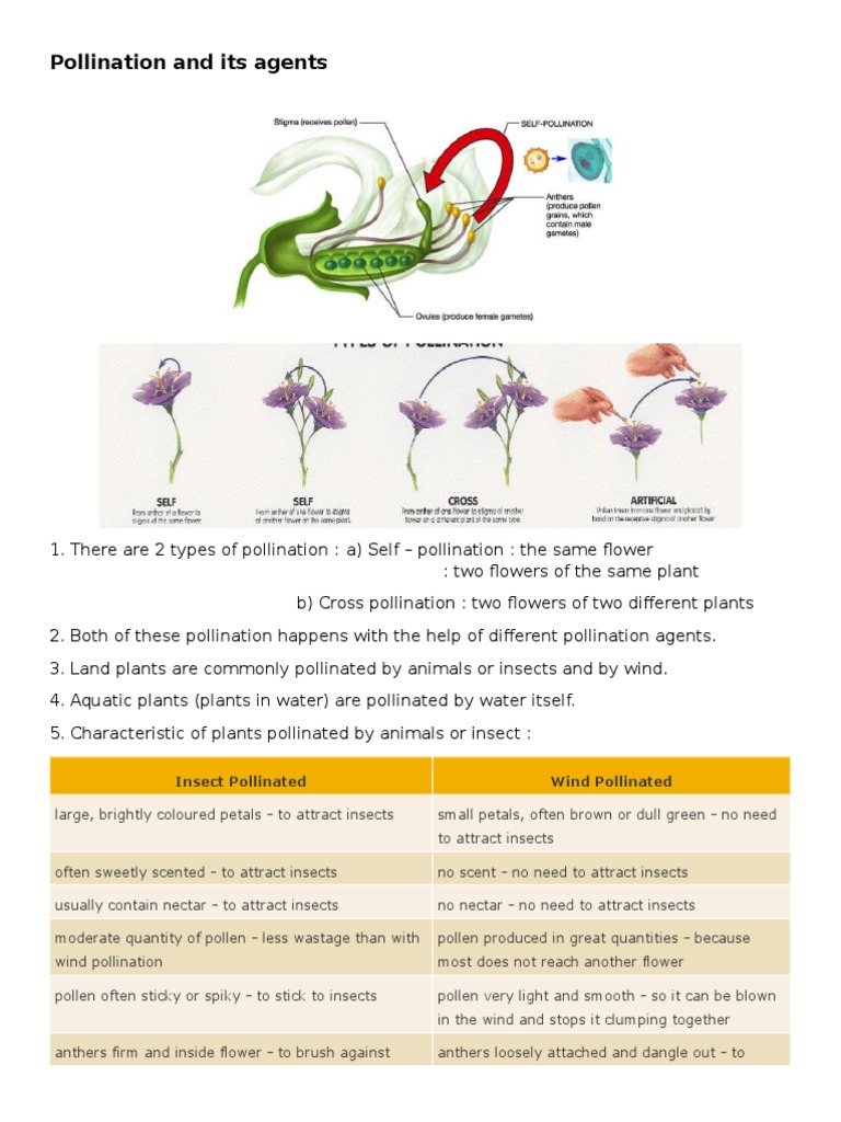 Pollination and Its Agents Pollination Flowers