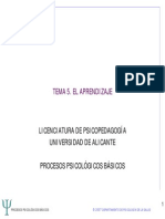 Tema 5 - Procesos Psicológicos Basicos PDF